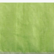 parrot-green-saree-in-linen-with-silver-brocade-border-and-striped-pallu-along-with-yellow-unstitched-blouse4.webp